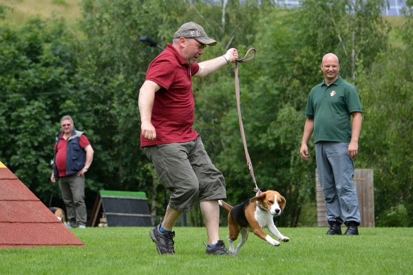 dsc_0281_20160705_1286692662