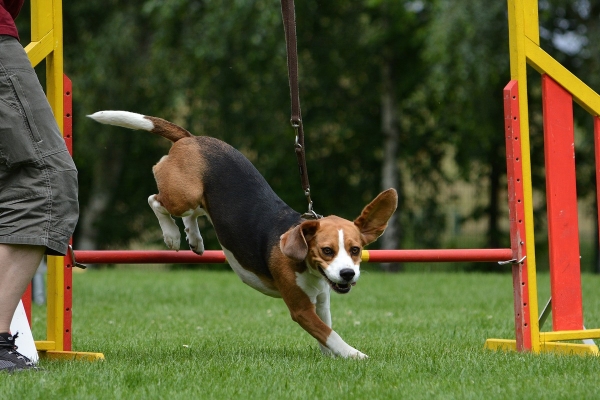 dsc_0285_20160705_1280158074