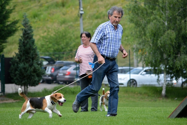 dsc_0297_20160705_1106078195