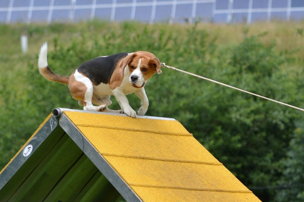 dsc_0301_20160705_1489712143