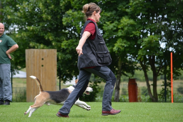 dsc_0332_20160705_1572275401