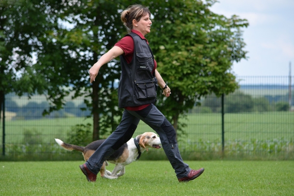 dsc_0335_20160705_1254868020