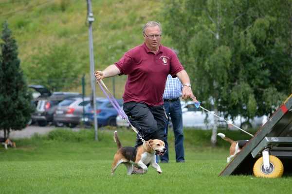 dsc_0346_20160705_1097946335