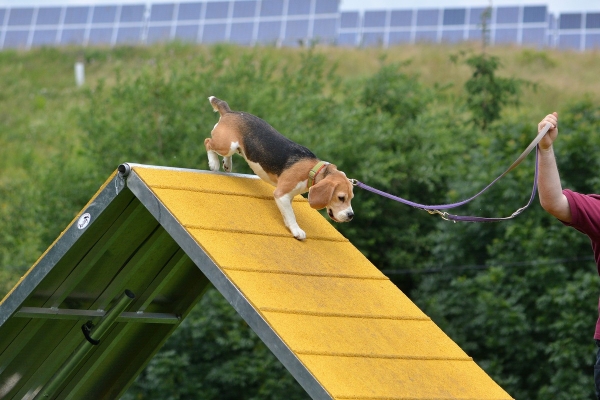 dsc_0349_20160705_1877873781