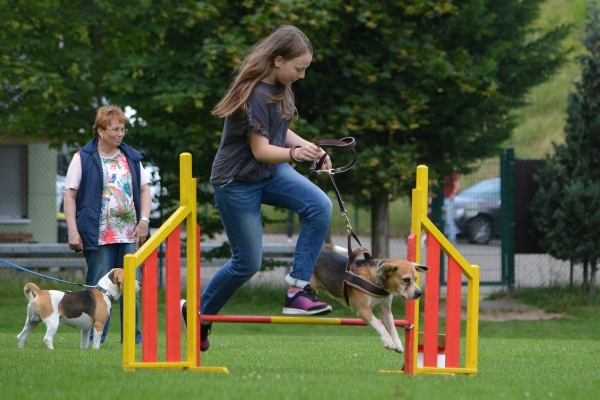 dsc_0381_20160705_1698462251