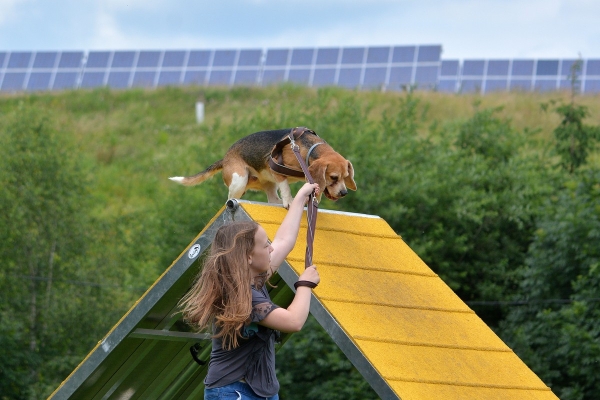 dsc_0385_20160705_2079224437