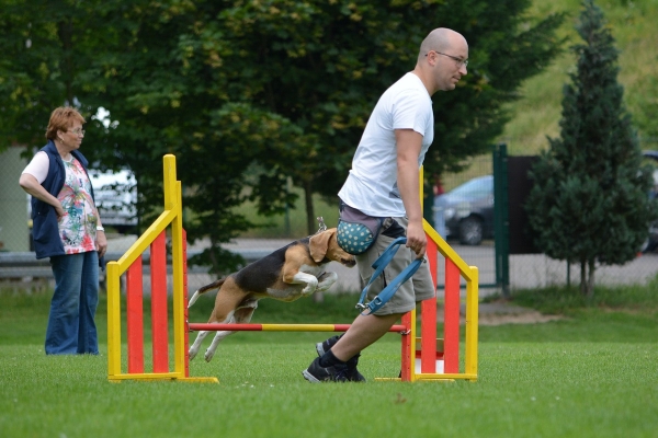 dsc_0395_20160705_1178690901