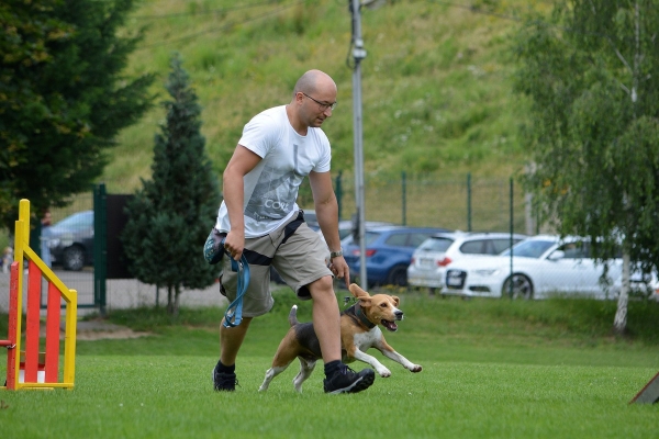 dsc_0397_20160705_1723046159