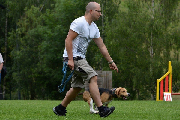 dsc_0407_20160705_1462329688