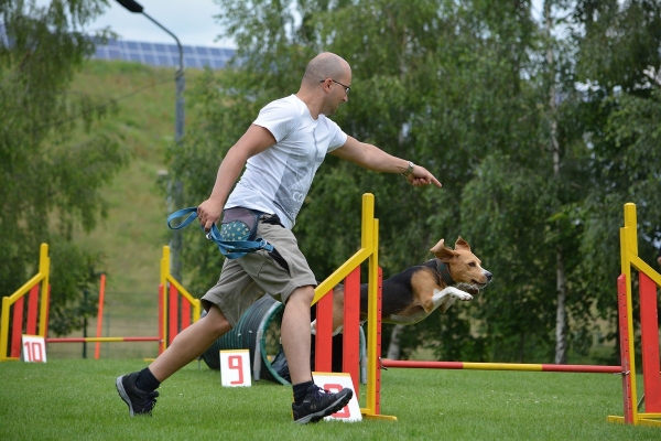 dsc_0409_20160705_1431297841