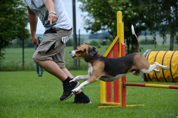 dsc_0421_20160705_1408314246