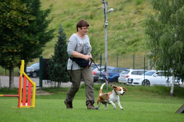 dsc_0424_20160705_1205009013