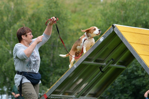 dsc_0425_20160705_1319411211