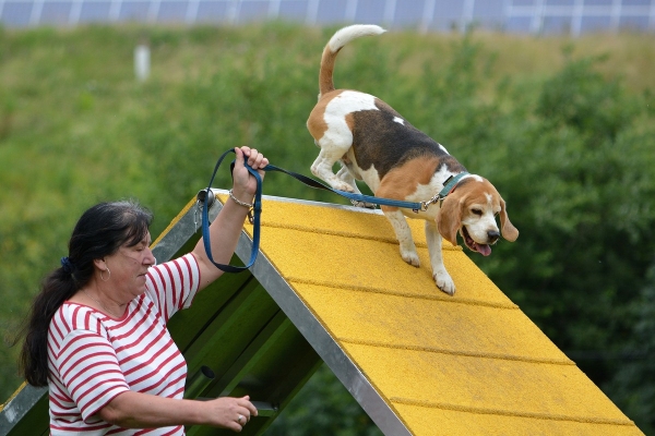 dsc_0439_20160705_1924364471