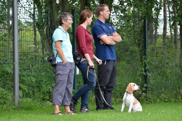 dsc_0449_20160705_1395924225