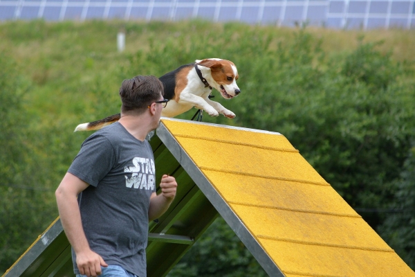 dsc_0461_20160705_1449110458