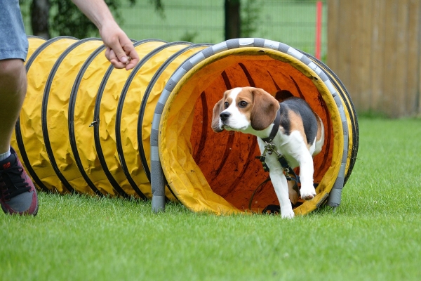 dsc_0470_20160705_1200651831