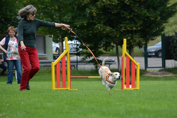 dsc_0482_20160705_1067863159