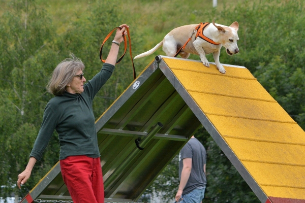 dsc_0483_20160705_1803971930