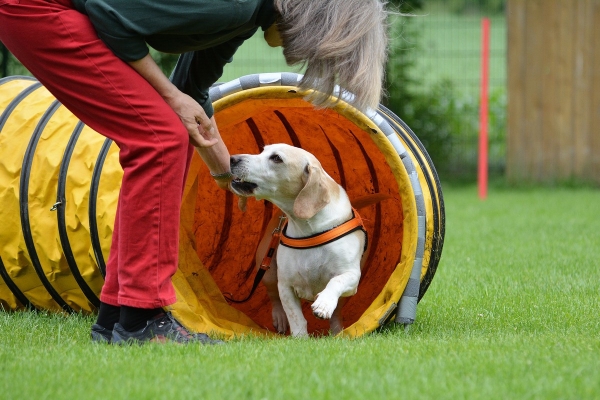 dsc_0491_20160705_1418879722