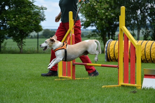 dsc_0495_20160705_1968684423