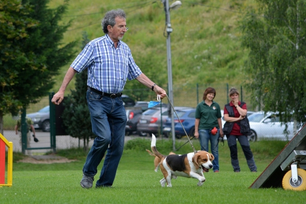 dsc_0497_20160705_1142522500