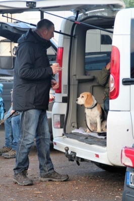 Auenwaldwanderung (1)