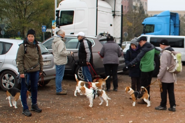 Auenwaldwanderung (11)