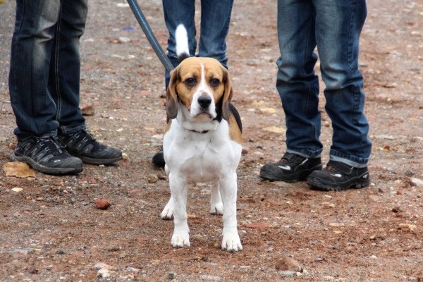 Auenwaldwanderung (13)