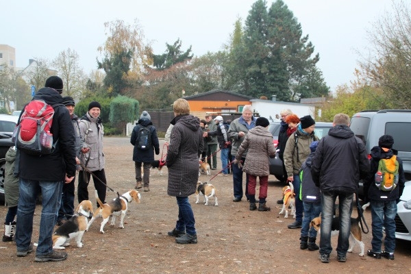 Auenwaldwanderung (15)