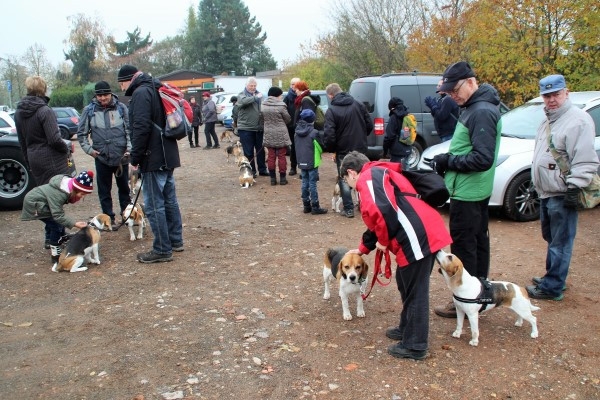 Auenwaldwanderung (16)