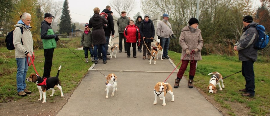 Auenwaldwanderung (18A)