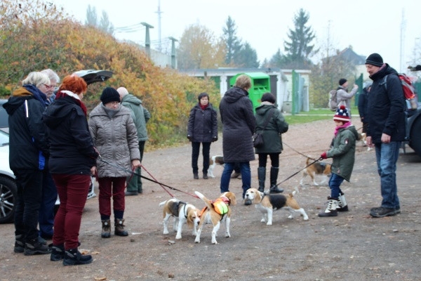 Auenwaldwanderung (2)