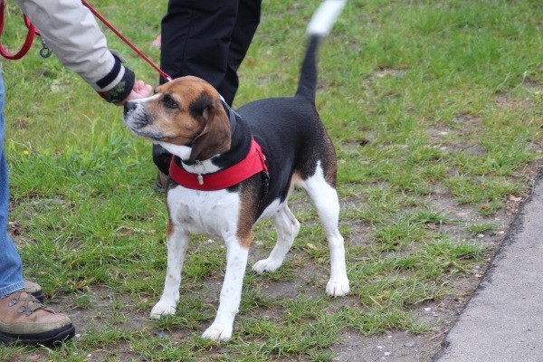 Auenwaldwanderung (20)