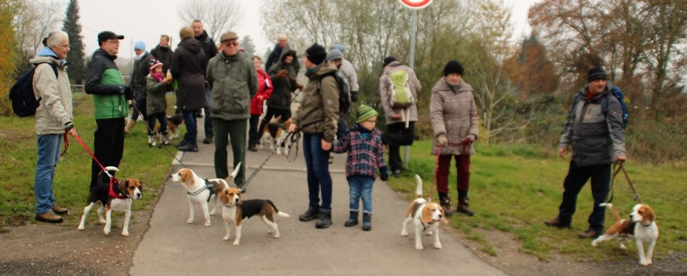 Auenwaldwanderung (21A)