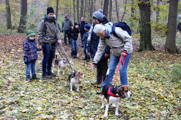 Auenwaldwanderung (22)