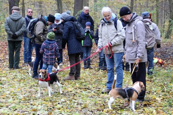 Auenwaldwanderung (23)