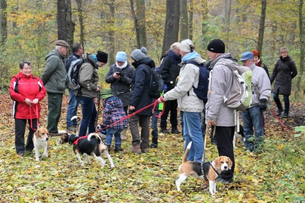 Auenwaldwanderung (24)