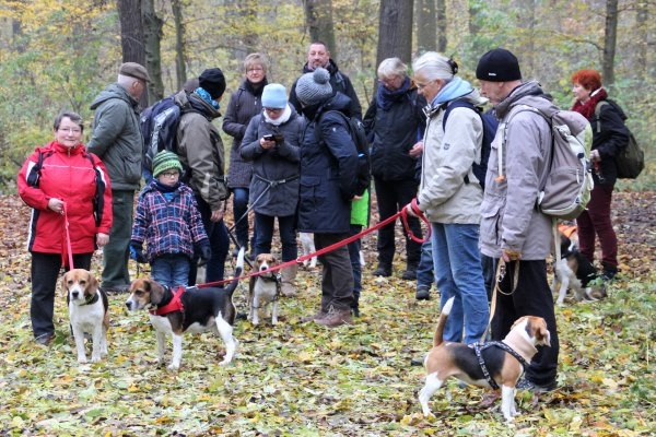 Auenwaldwanderung (25)