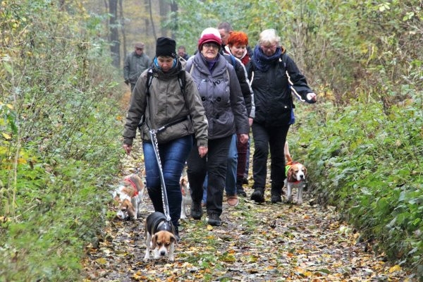 Auenwaldwanderung (27)