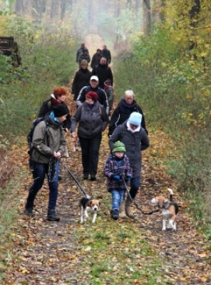 Auenwaldwanderung (28)