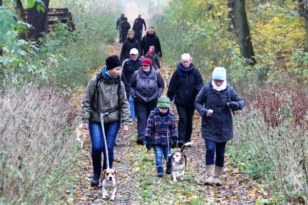 Auenwaldwanderung (29)