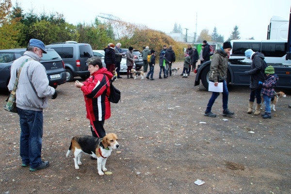 Auenwaldwanderung (3)