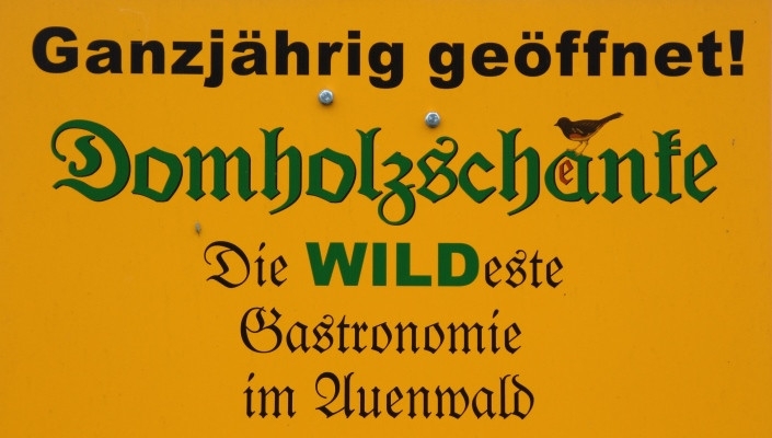 Auenwaldwanderung (30)