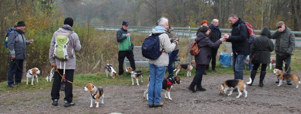 Auenwaldwanderung (31)