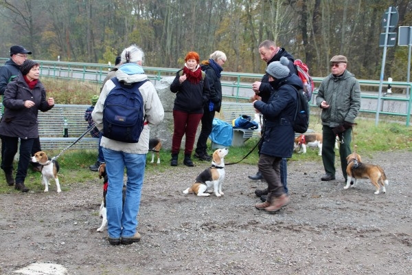 Auenwaldwanderung (32)