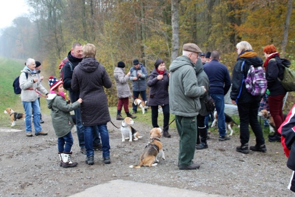 Auenwaldwanderung (33)