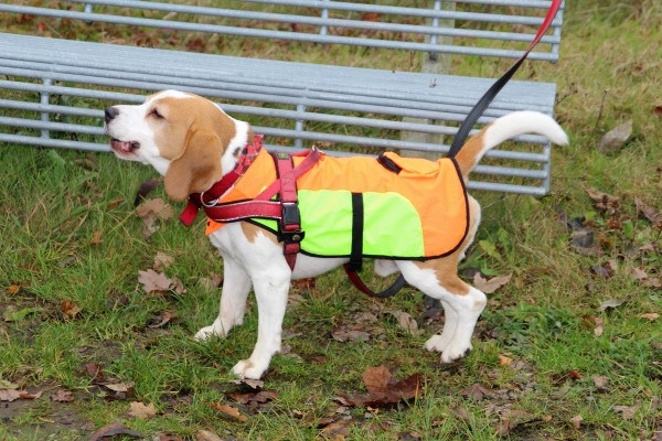 Auenwaldwanderung (34)