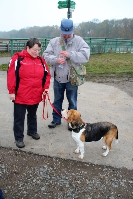 Auenwaldwanderung (35)