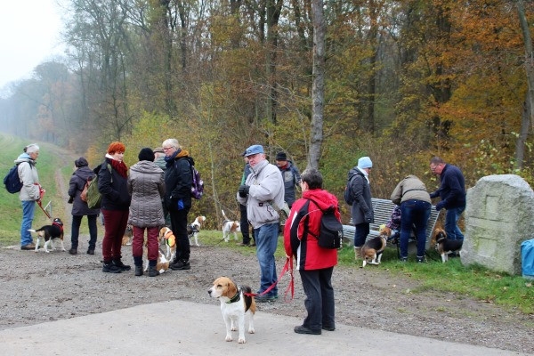 Auenwaldwanderung (37)